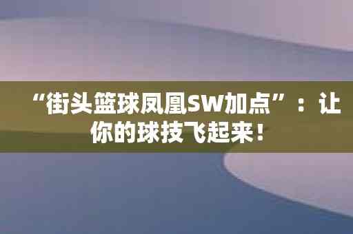 “街头篮球凤凰SW加点”：让你的球技飞起来！