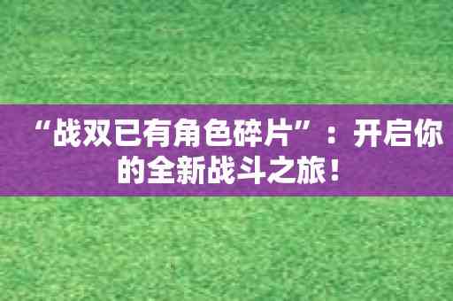 “战双已有角色碎片”：开启你的全新战斗之旅！