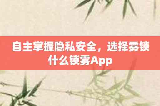 自主掌握隐私安全，选择雾锁什么锁雾App