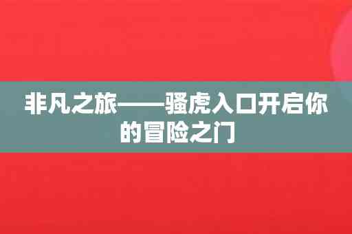 非凡之旅——骚虎入口开启你的冒险之门