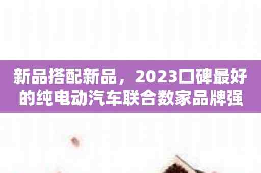 新品搭配新品，2023口碑最好的纯电动汽车联合数家品牌强强出击