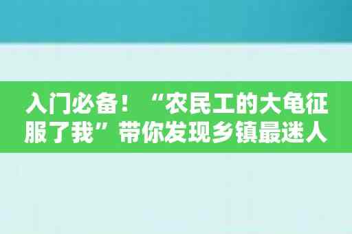 入门必备！“农民工的大龟征服了我”带你发现乡镇最迷人的一面