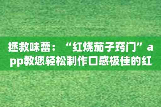 拯救味蕾：“红烧茄子窍门”app教您轻松制作口感极佳的红烧茄子