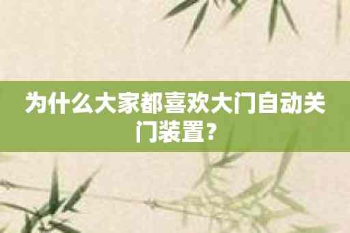 为什么大家都喜欢大门自动关门装置？