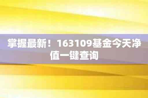 掌握最新！163109基金今天净值一键查询