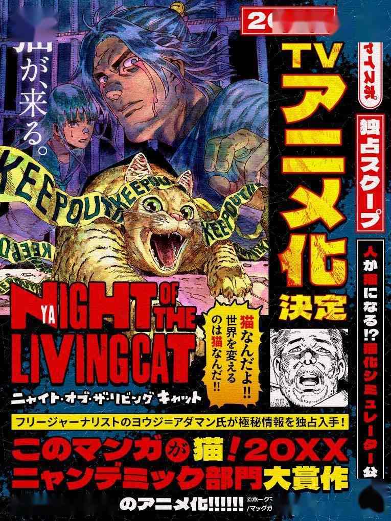 漫画《活尸猫之夜 》宣布动画化 将于2025年放送