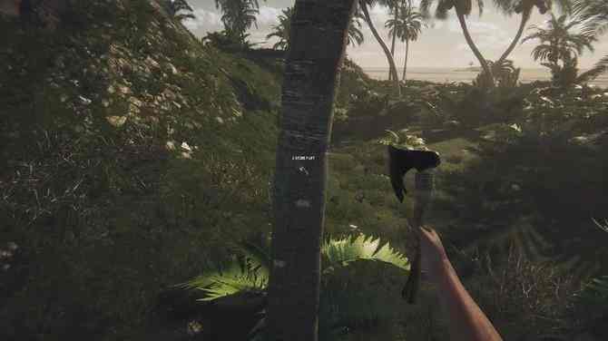 《Lost in Tropics》登陆Steam 热带岛屿生存冒险